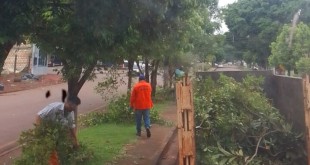 Servicios Generales - Limpieza de avenidas 2