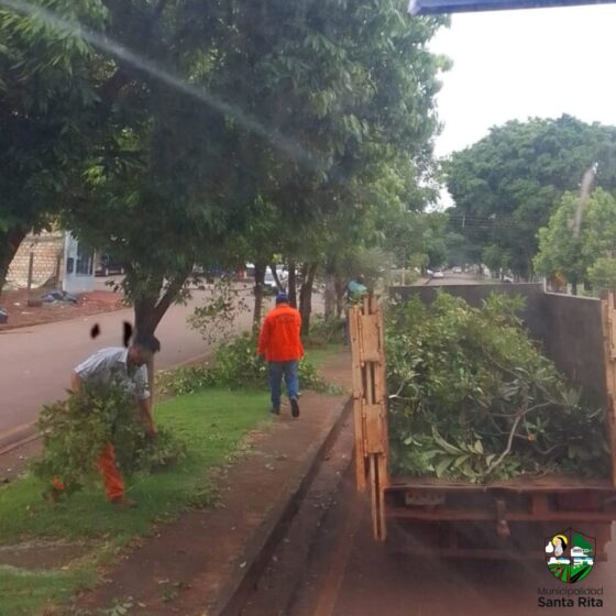 Trabajos de limpieza de la ciudad