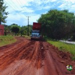 Servicios Generales - Limpieza de avenidas 6